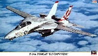 F-14A トムキャット サンダウナーズ
