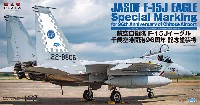 航空自衛隊 F-15J イーグル 千歳空港 開港96周年記念塗装機