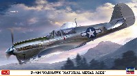 P-40N ウォーホーク ナチュラルメタル エーセス