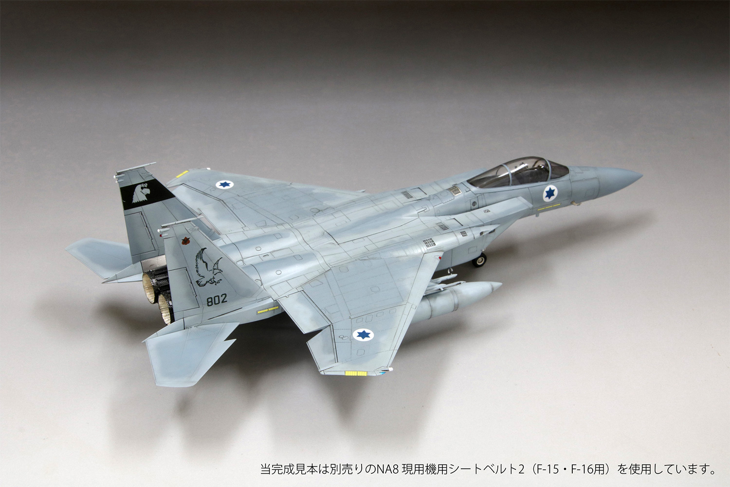 イスラエル空軍 F-15C 戦闘機 バズ プラモデル (ファインモールド 1/72 航空機 No.FX01) 商品画像_3