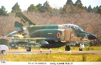 RF-4E ファントム 2 第501飛行隊 シャークティース