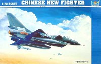 中国空軍 J-10 戦闘機