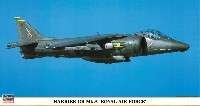 ハリアー GR Mk.5 ロイヤルエアフォース