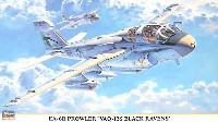 EA-6B プラウラー VAQ-135 ブラックレイブンズ