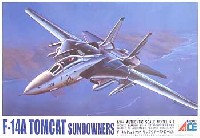 F-14A トムキャット サンダウナーズ (ロービジ）