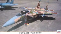 F-15J イーグル 飛行教導隊