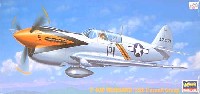 P-40N ウォーホーク 第13追撃航空団