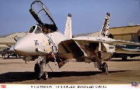 F-14B トムキャット VF-143 ピューキン ドッグズ ラストクルーズ