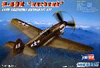 P-40N ウォーホーク
