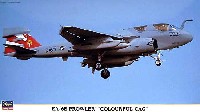 EA-6B プラウラー カラフル CAG