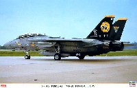 F-14D トムキャット VF-31 トムキャッターズ