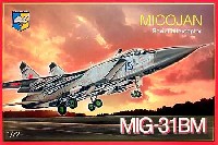 Mig-31BM フォックスハウンド迎撃機