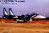 F-15J イーグル 航空自衛隊 第304飛行隊 50周年記念塗装機 (3機セット）