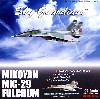 Mig-29 ファルクラム ロシア空軍 Erebouny AB アルメニア 2004