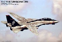 Ｆ-14D トムキャット VF-101 グリムリーパーズ 2004 (3機セット）