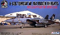 F-14A トムキャット VF-154 ブラックナイツ CAG機 (ミレニアムスペシャル）