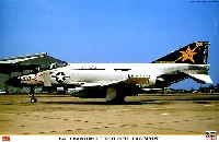 F-4J ファントム2 カラフル CAG バード