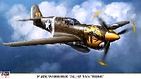P-40E ウォーホーク アリューシャン タイガー
