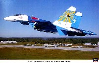 Su-27 フランカー ニュー ロシアンナイツ