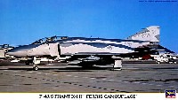F-4J/S ファントム 2 フェリス カムフラージュ