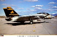 F-14A トムキャット VF-213 ブラックライオンズ