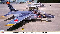川崎 T-4 F-2/F-15迷彩コンボ (2機セット）