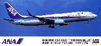 全日空 ボーイング 737-800 トリトンブルー