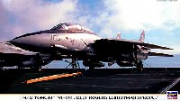 F-14B トムキャット VF-103 ジョリーロジャース クリスマススペシャル