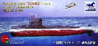 中国 ソン級 (039G型) ディーゼル動力 攻撃潜水艦