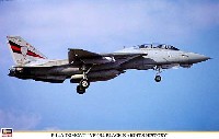 F-14A トムキャット VF-154 ブラックナイツ ヒストリー