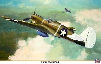 P-40M ウォーホーク