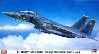 F-15E ストライクイーグル イラキ フリーダム ノーズアート