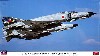 F-4EJ改 スーパーファントム 302SQ スペシャル2010