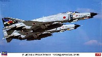 F-4EJ改 スーパーファントム 302SQ スペシャル2010