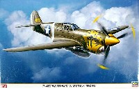 P-40E ウォーホーク アリューシャンタイガー