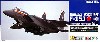 航空自衛隊 F-15J イーグル 第305飛行隊 (百里基地) 梅組30周年記念塗装機