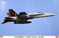 F/A-18D ホーネット 岩国 スペシャルマーキング