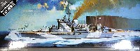 イギリス戦艦 HMS ウォースパイト