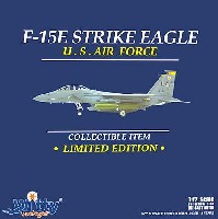 F-15E ストライクイーグル アメリカ空軍 58th 461th TFTS ルーク空軍基地