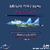 MiG-29 フルクラム ロシアンファルコンズ