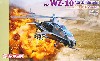 中国人民解放軍 WZ-10 攻撃ヘリコプター