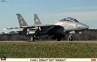 F-14B/D トムキャット ロービジ