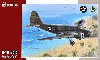 ダグラス B-18 ボロ 双発爆撃機 戦中迷彩塗装