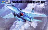 ロシア Su-27 フランカー B