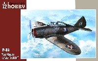 セバスキー P-35 戦闘機 訓練迷彩塗装