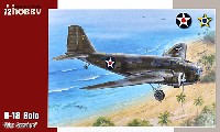 ダグラス B-18 ボロ 双発爆撃機 戦中迷彩塗装