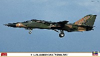 F-111E アードバーク ノーズアート