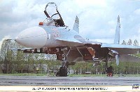 Su-27 フランカー ヨーロッパ戦勝記念