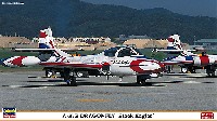 A-37B ドラゴンフライ ブラックイーグルス
