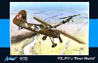 PZL P.11C First Shots